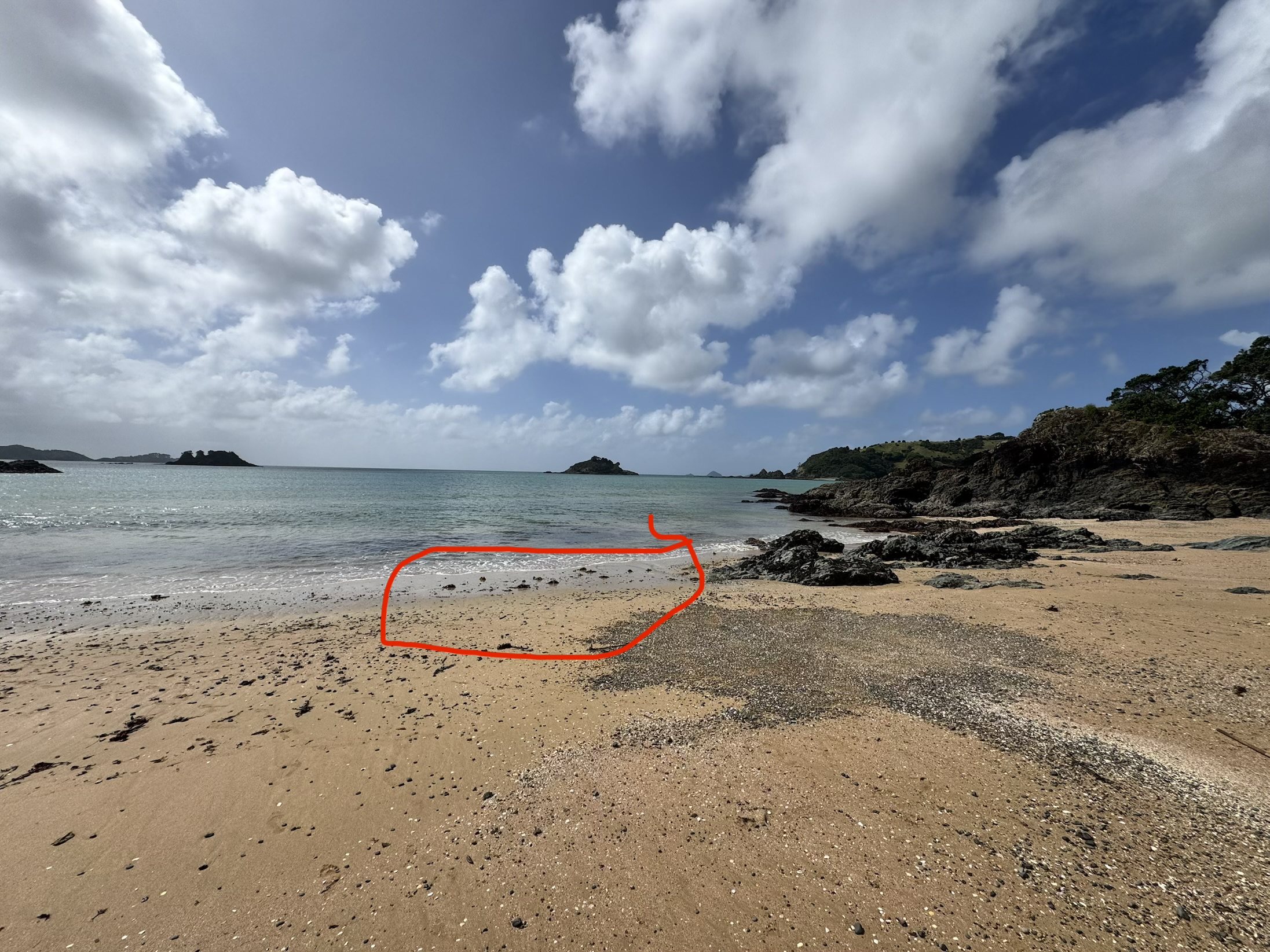 Beach area where ring was lost